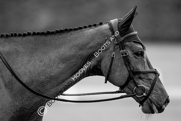 Houghton International