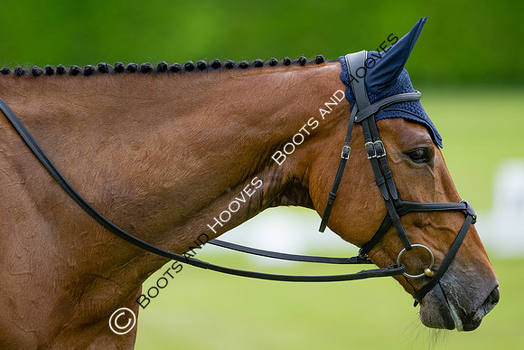 Houghton International