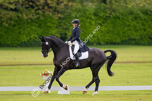 Houghton International