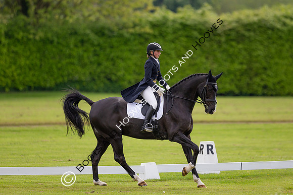 Houghton International