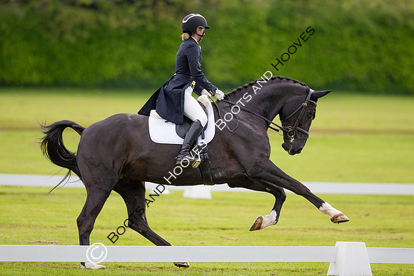 Houghton International
