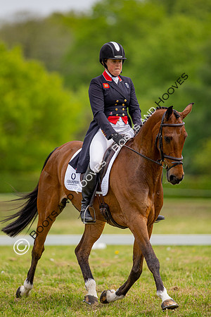 Houghton International