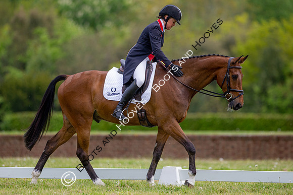 Houghton International