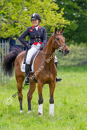 Houghton International