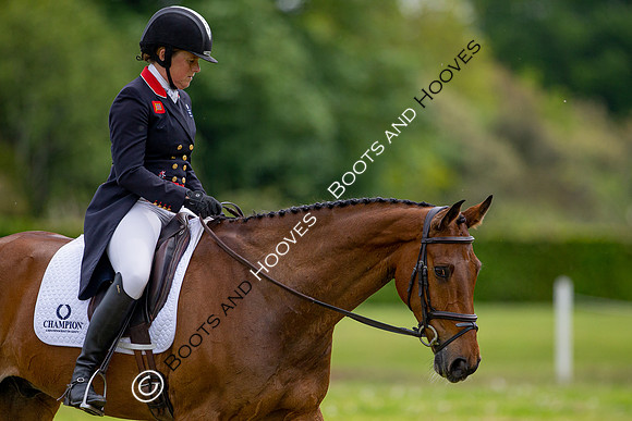Houghton International