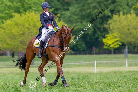 Houghton International