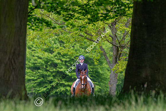 Houghton International