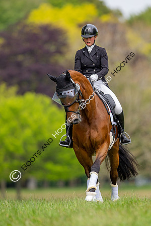 Houghton International
