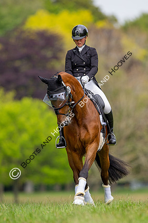 Houghton International