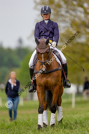 Houghton International