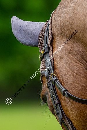 Houghton International