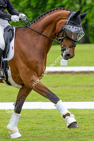 Houghton International