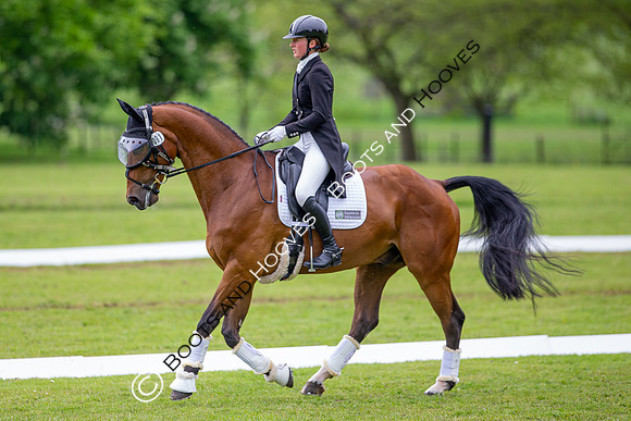 Houghton International