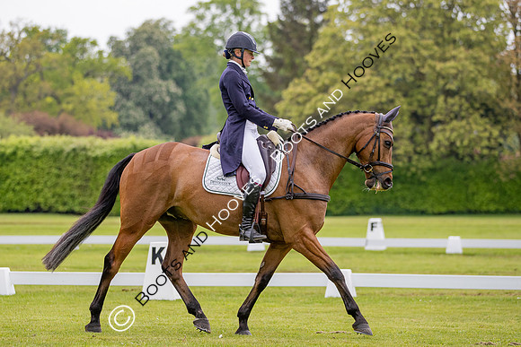 Houghton International