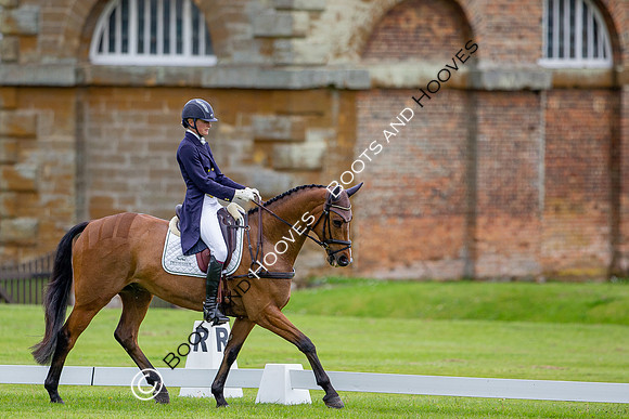 Houghton International