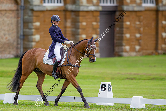 Houghton International