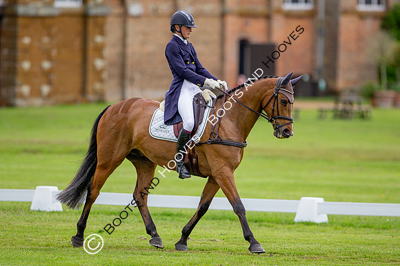 Houghton International