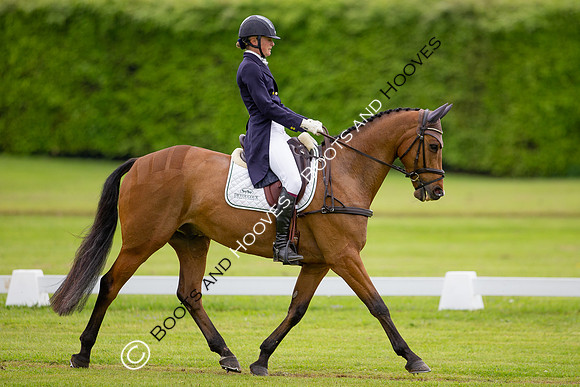 Houghton International