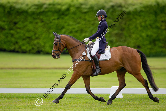 Houghton International