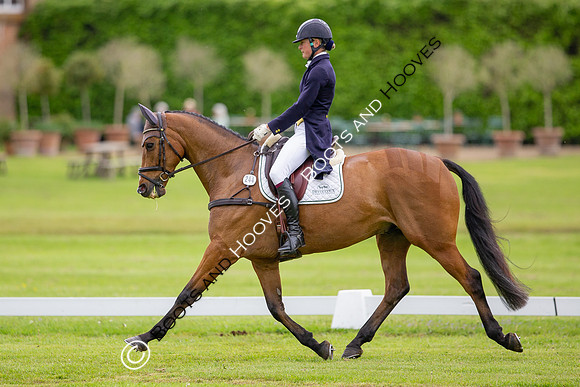 Houghton International