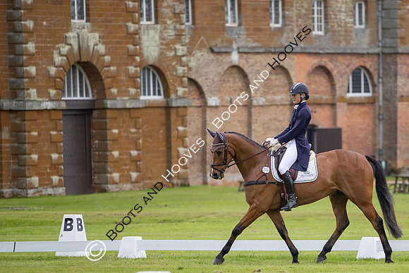 Houghton International