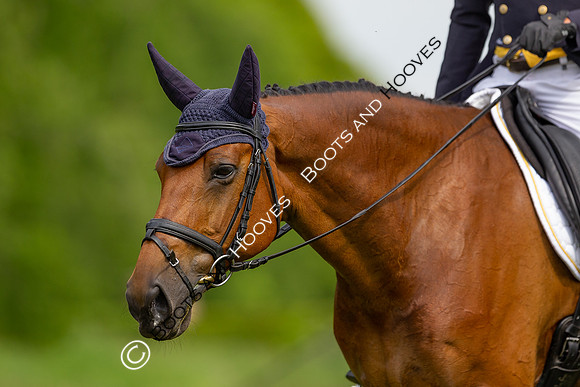 Houghton International