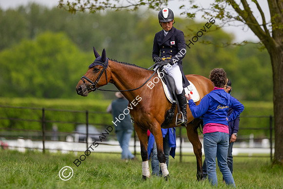 Houghton International