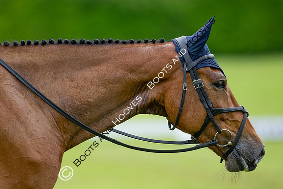 Houghton International