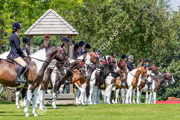 The Prenetics Royal International Horse Show