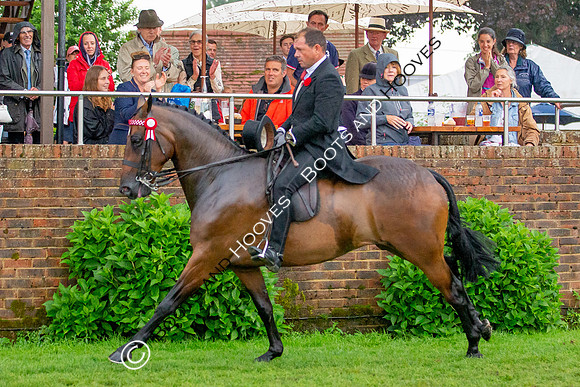 The Prenetics Royal International Horse Show