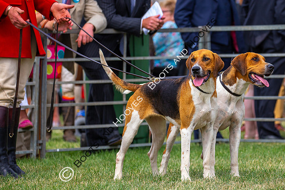 Festival of Hunting