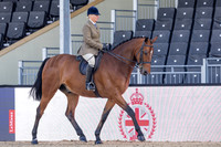 Royal Windsor Horse Show