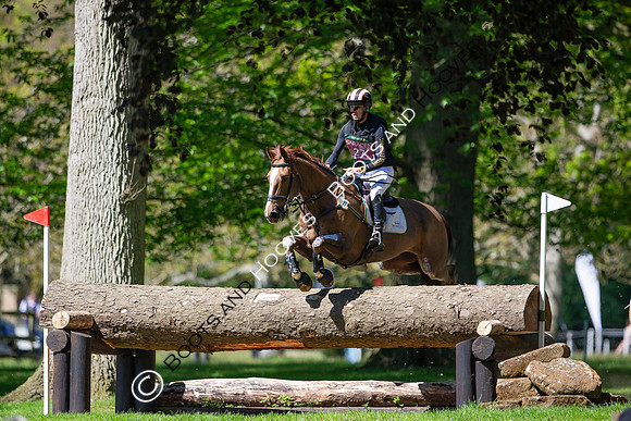 Houghton International
