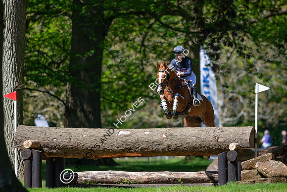Houghton International