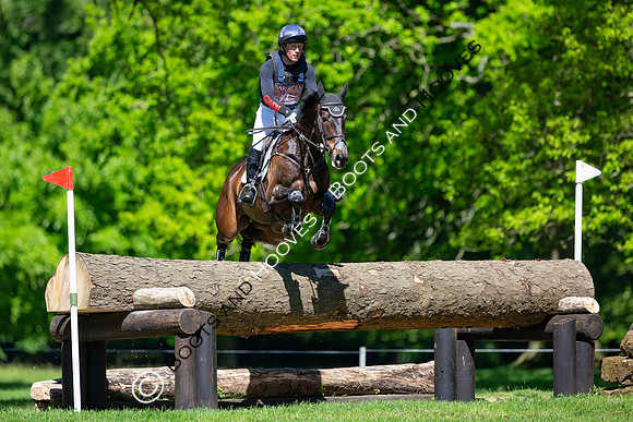 Houghton International