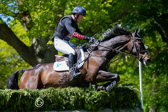 Houghton International