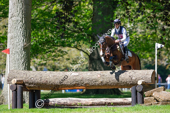 Houghton International