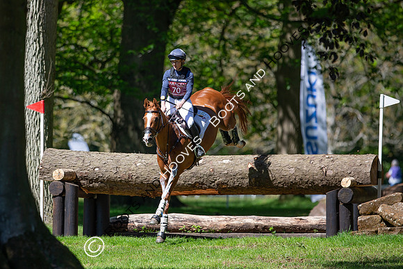 Houghton International
