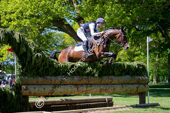 Houghton International