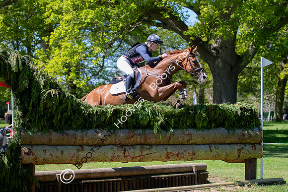 Houghton International
