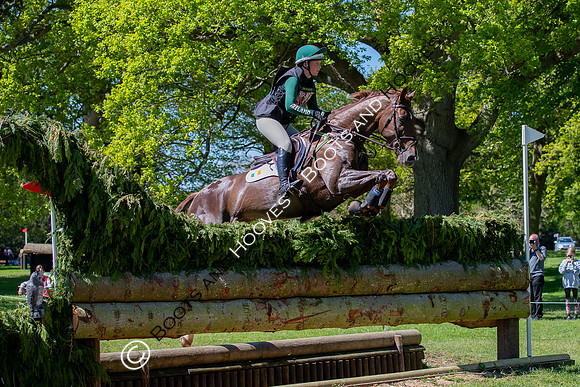 Houghton International