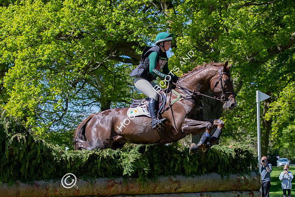 Houghton International