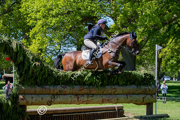 Houghton International