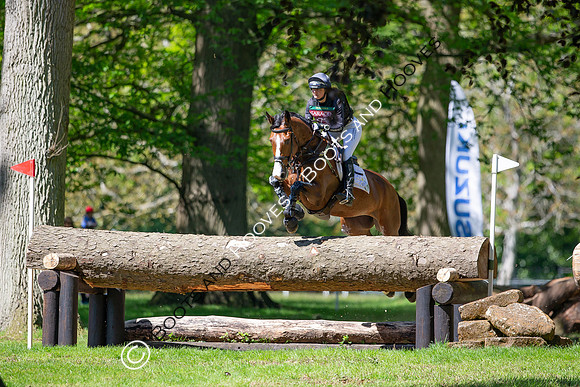 Houghton International