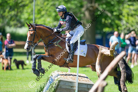 Houghton International