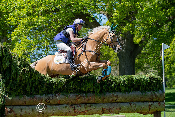 Houghton International