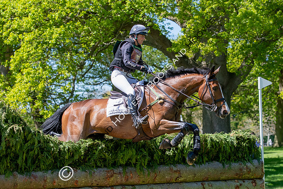 Houghton International