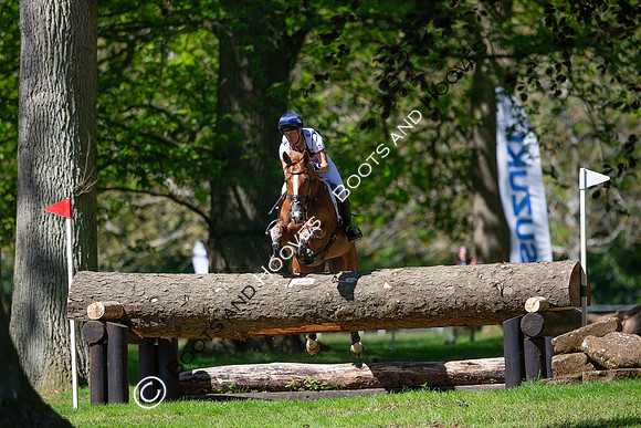 Houghton International