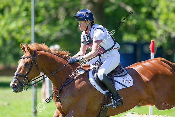 Houghton International