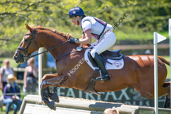 Houghton International